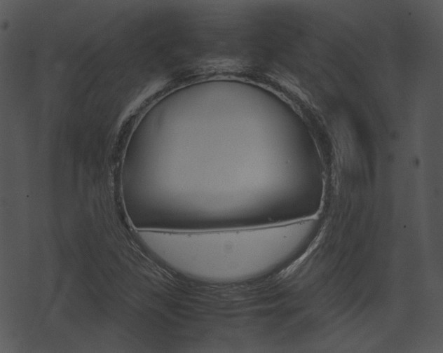 X0000074211309200608250728