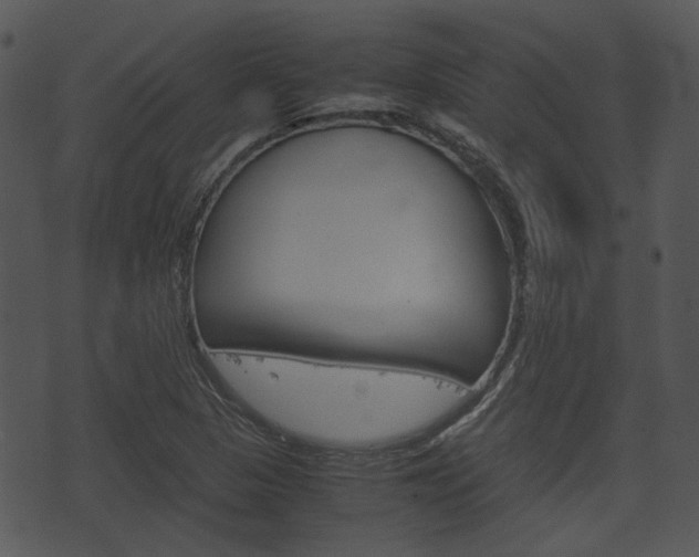 X0000074211313200608250728