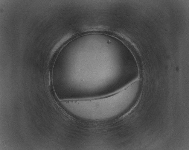 X0000074211317200608250728