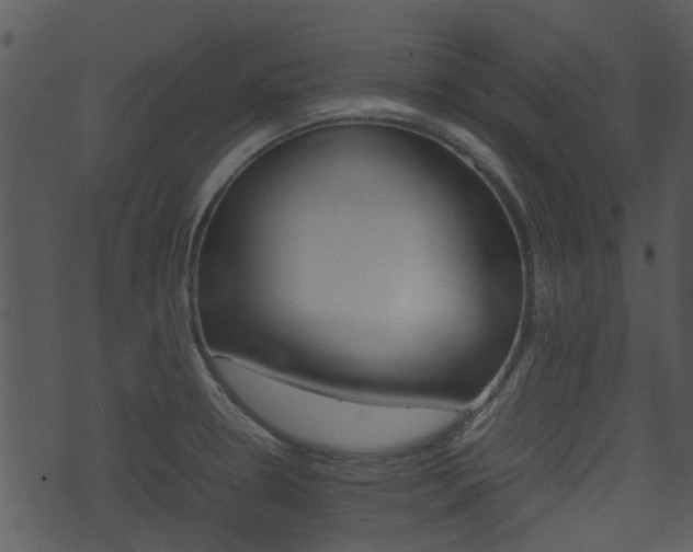 X0000074211330200608250728