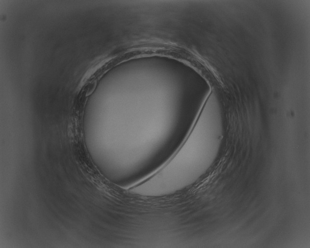 X0000074211352200608250728