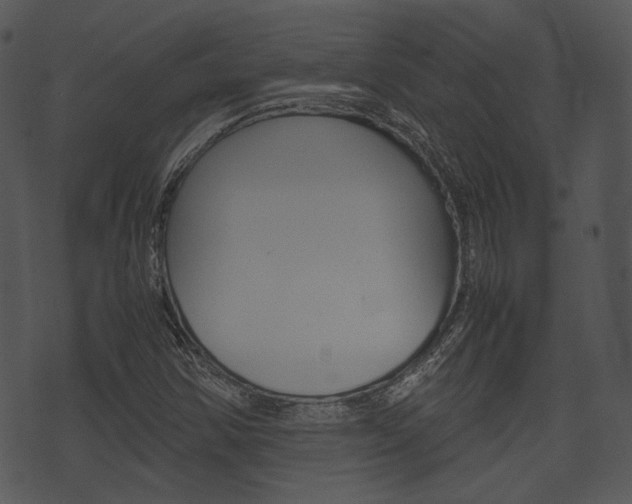 X0000074211354200608250727