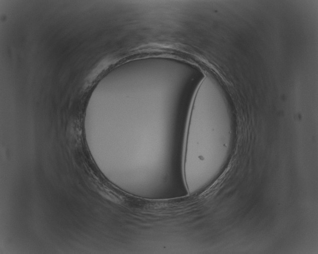 X0000074211355200608250727
