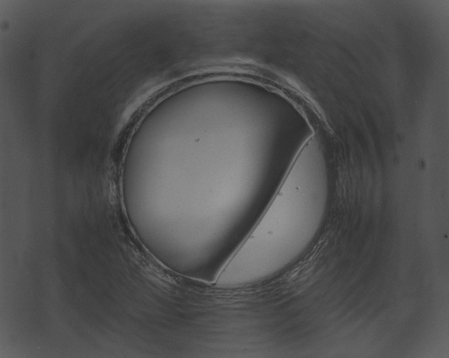 X0000074211360200608250727