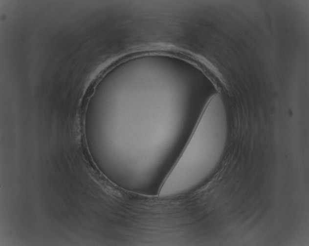 X0000074211364200608250727