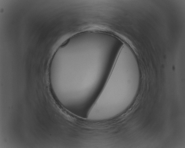X0000074211375200608250727