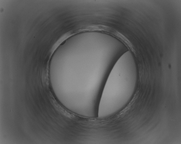X0000074211378200608250727