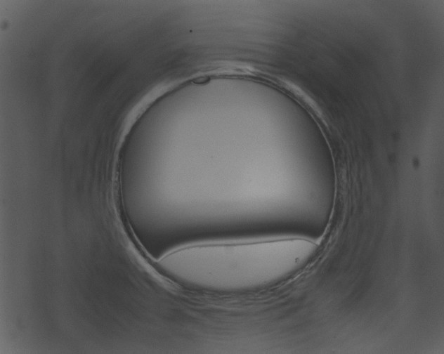 X0000074211379200608250727