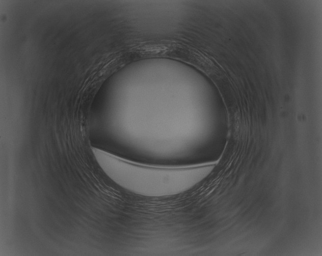 X0000074211394200608250726