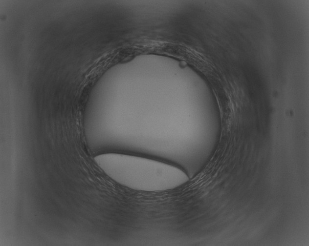 X0000074211397200608250726