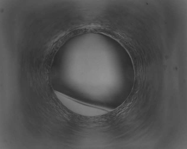 X0000074211398200608250726