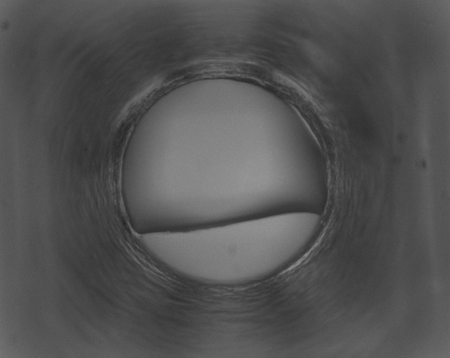 X0000074211403200608250726