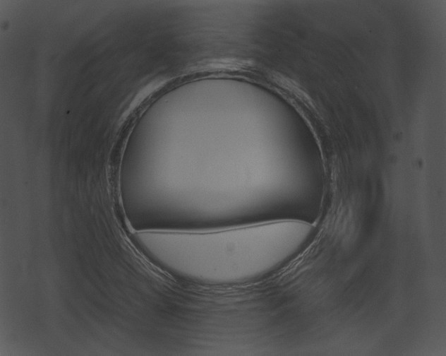 X0000074211404200608250726