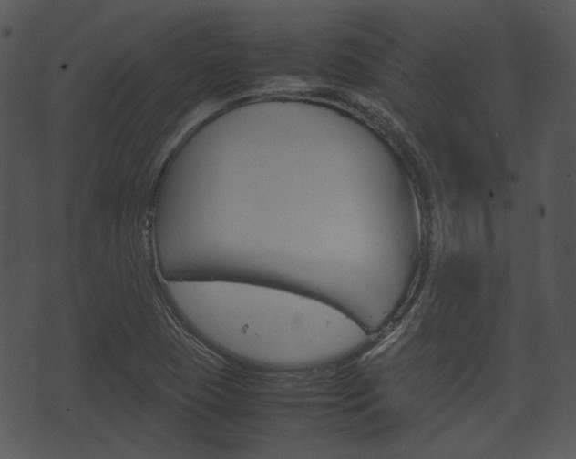 X0000074211409200608250726