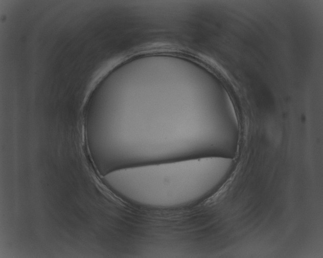 X0000074211413200608250726
