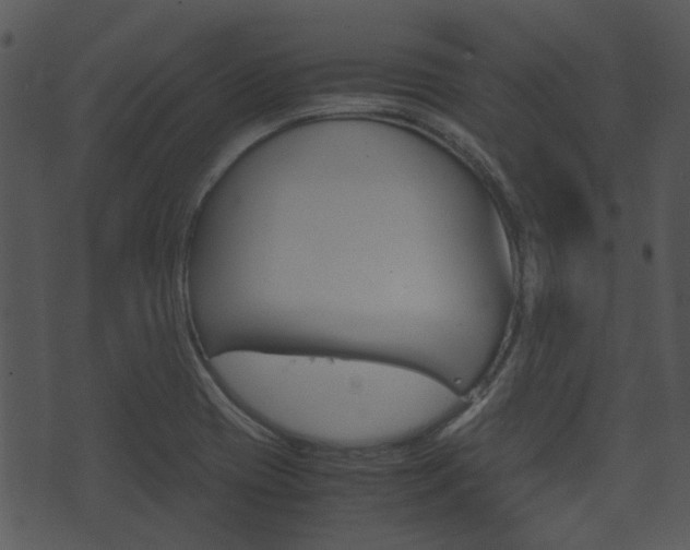 X0000074211417200608250726