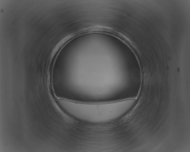 X0000074211418200608250726