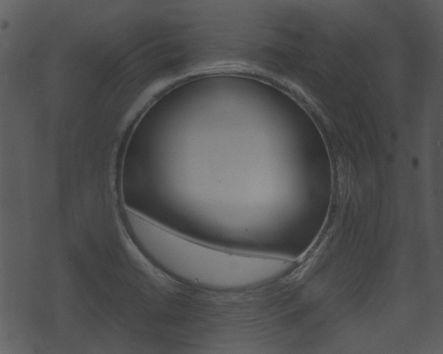 X0000074211422200608250727