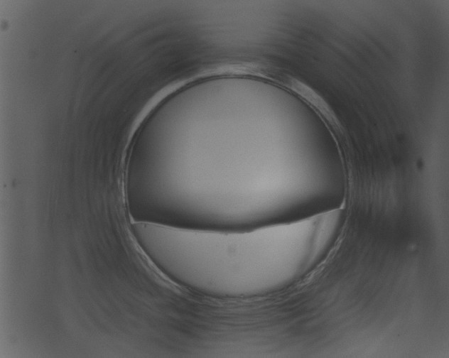 X0000074211436200608250727