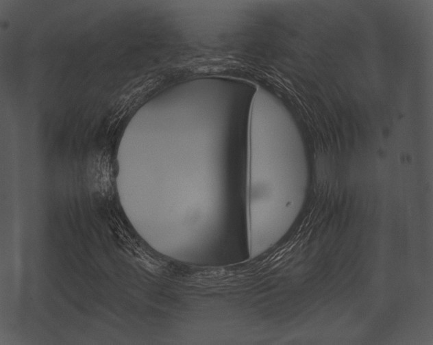 X0000074211444200608250726