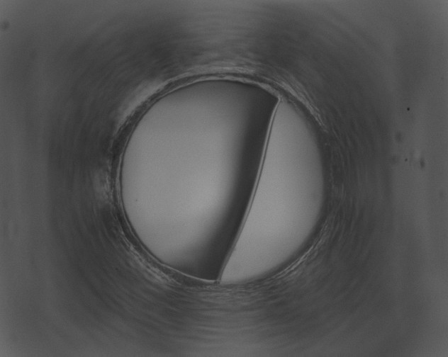 X0000074211452200608250726