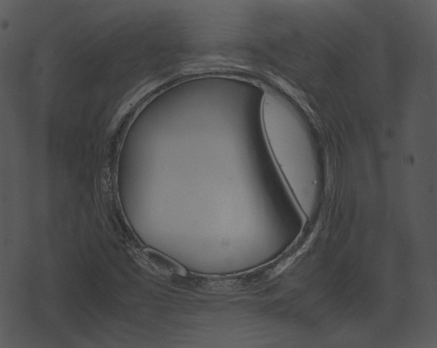 X0000074211453200608250726