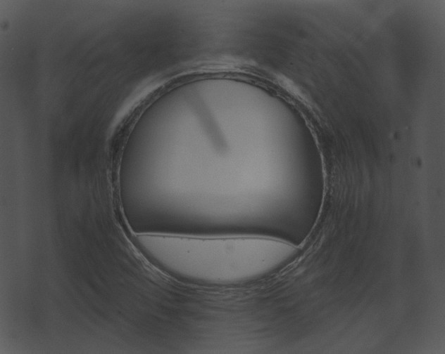 X0000074211456200608250726