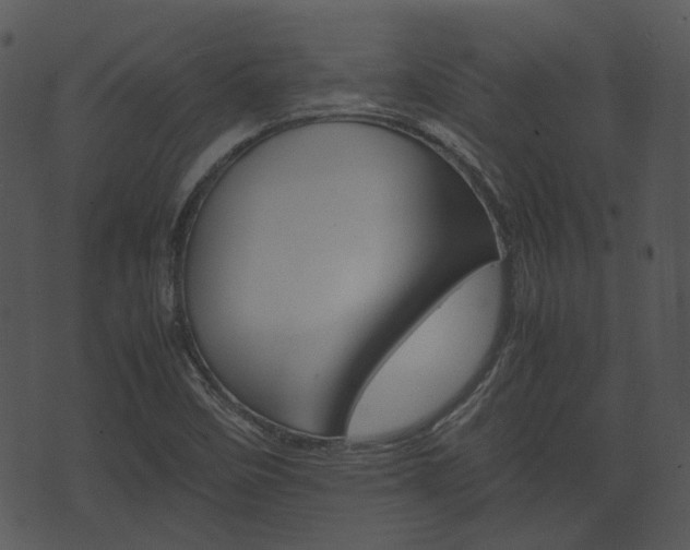 X0000074211458200608250726