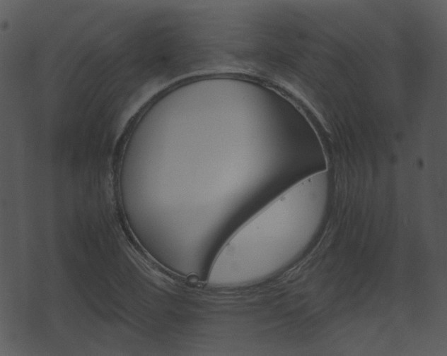 X0000074211460200608250726