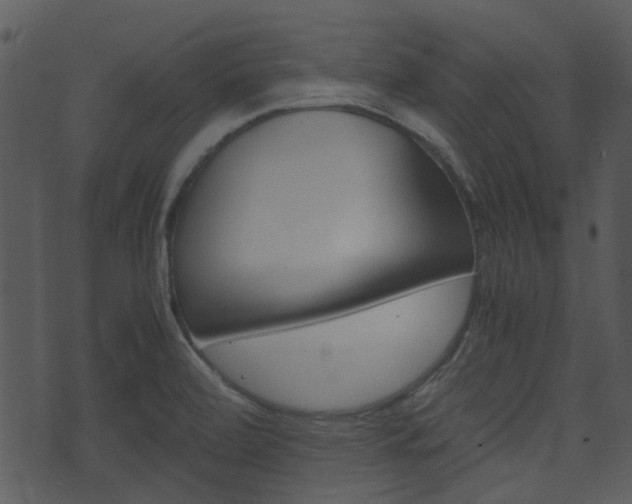 X0000074211472200608250726
