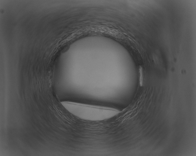 X0000074211491200608250725