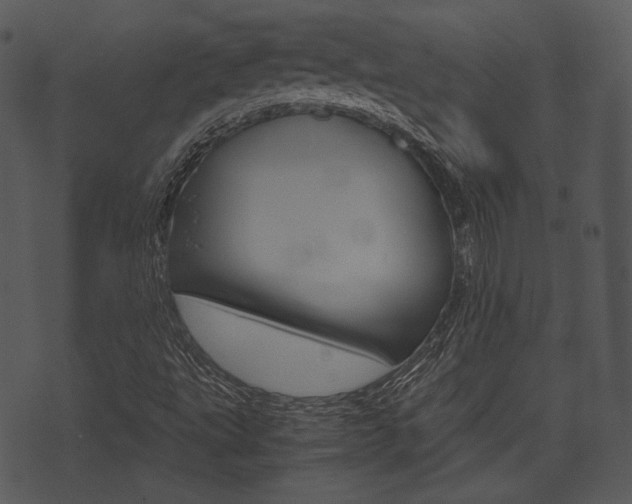 X0000074211495200608250725