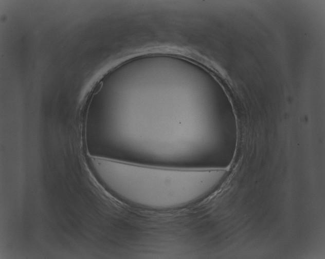 X0000074211504200608250725
