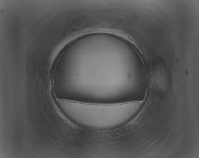 X0000074211511200608250725