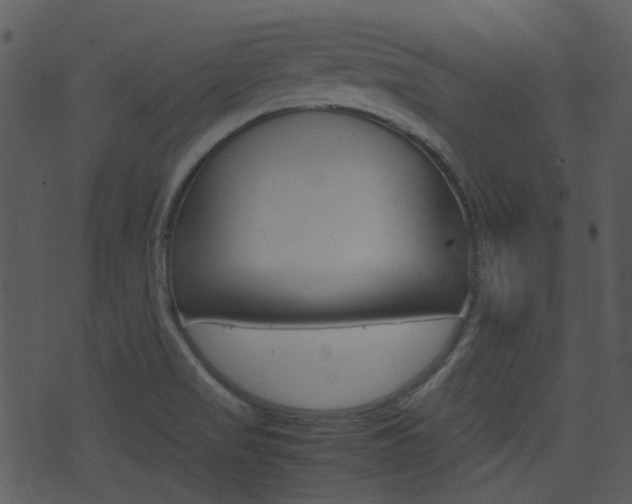 X0000074211517200608250725