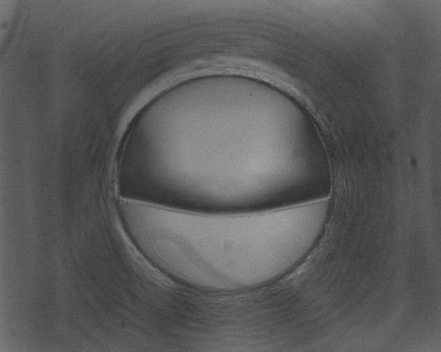 X0000074211522200608250725