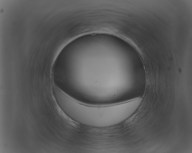 X0000074211532200608250725