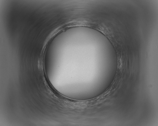 X0000074210004200608251115