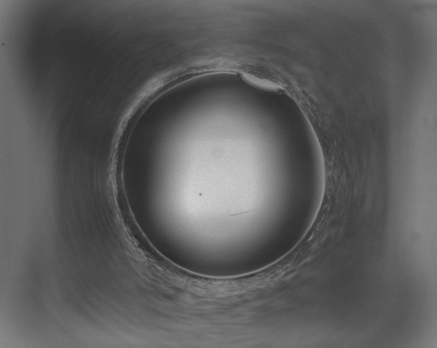 X0000074210006200608251115