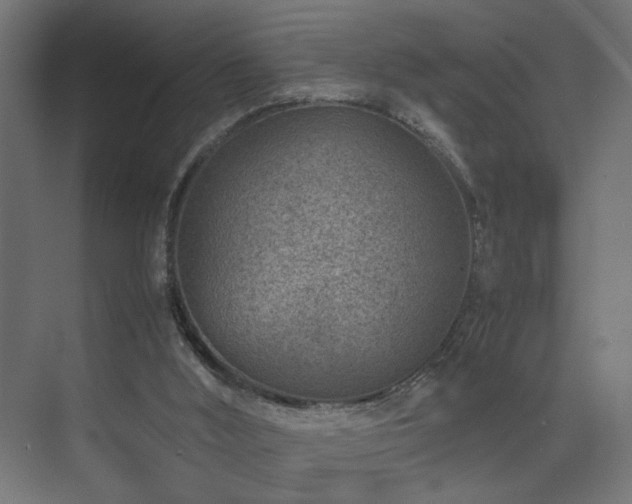 X0000074210012200608251115