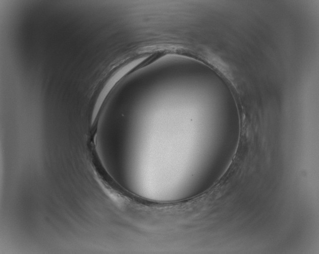 X0000074210013200608251115
