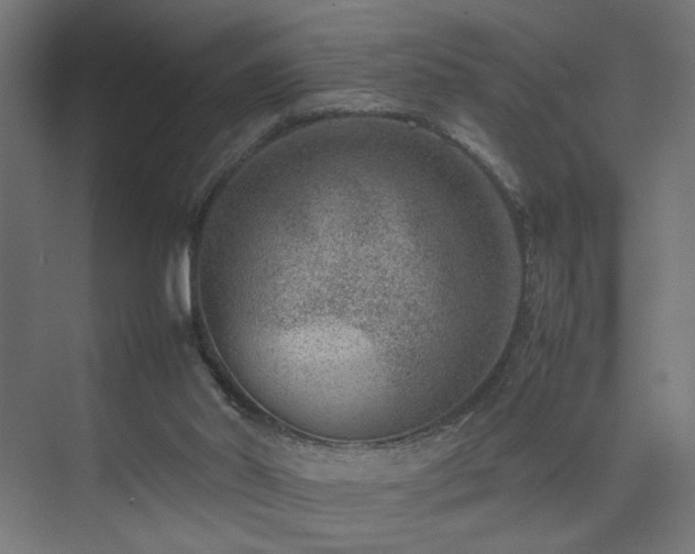 X0000074210014200608251115