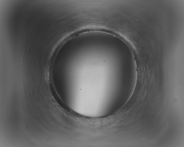 X0000074210015200608251115