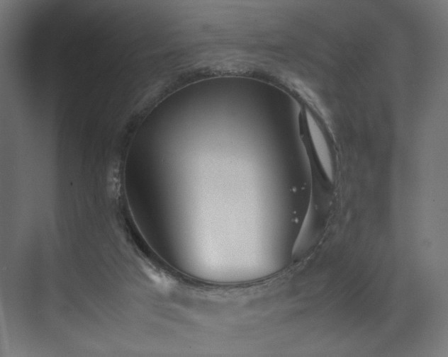 X0000074210017200608251114