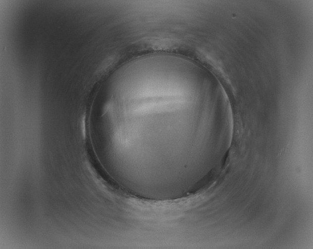 X0000074210019200608251114