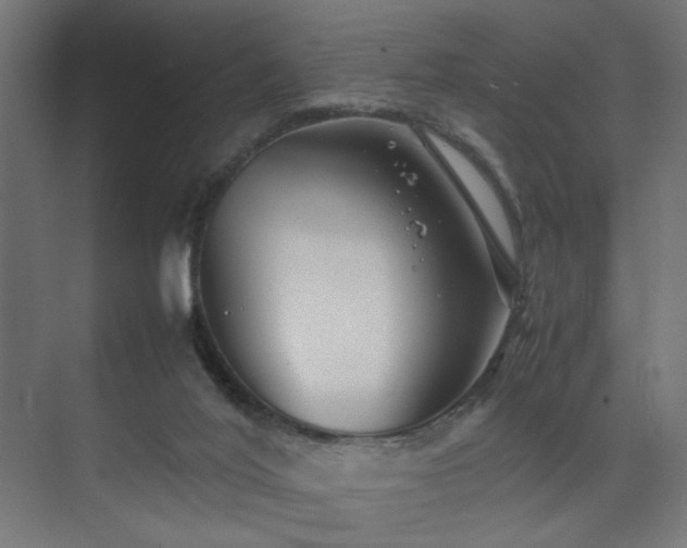 X0000074210020200608251114