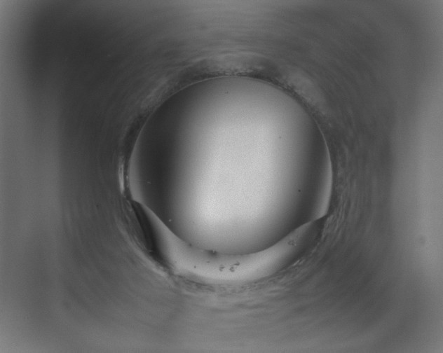 X0000074210021200608251114