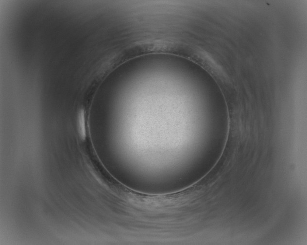 X0000074210022200608251114