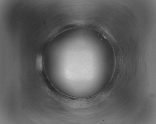 X0000074210024200608251114