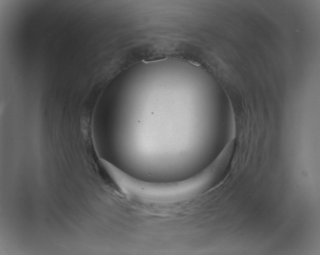 X0000074210033200608251114
